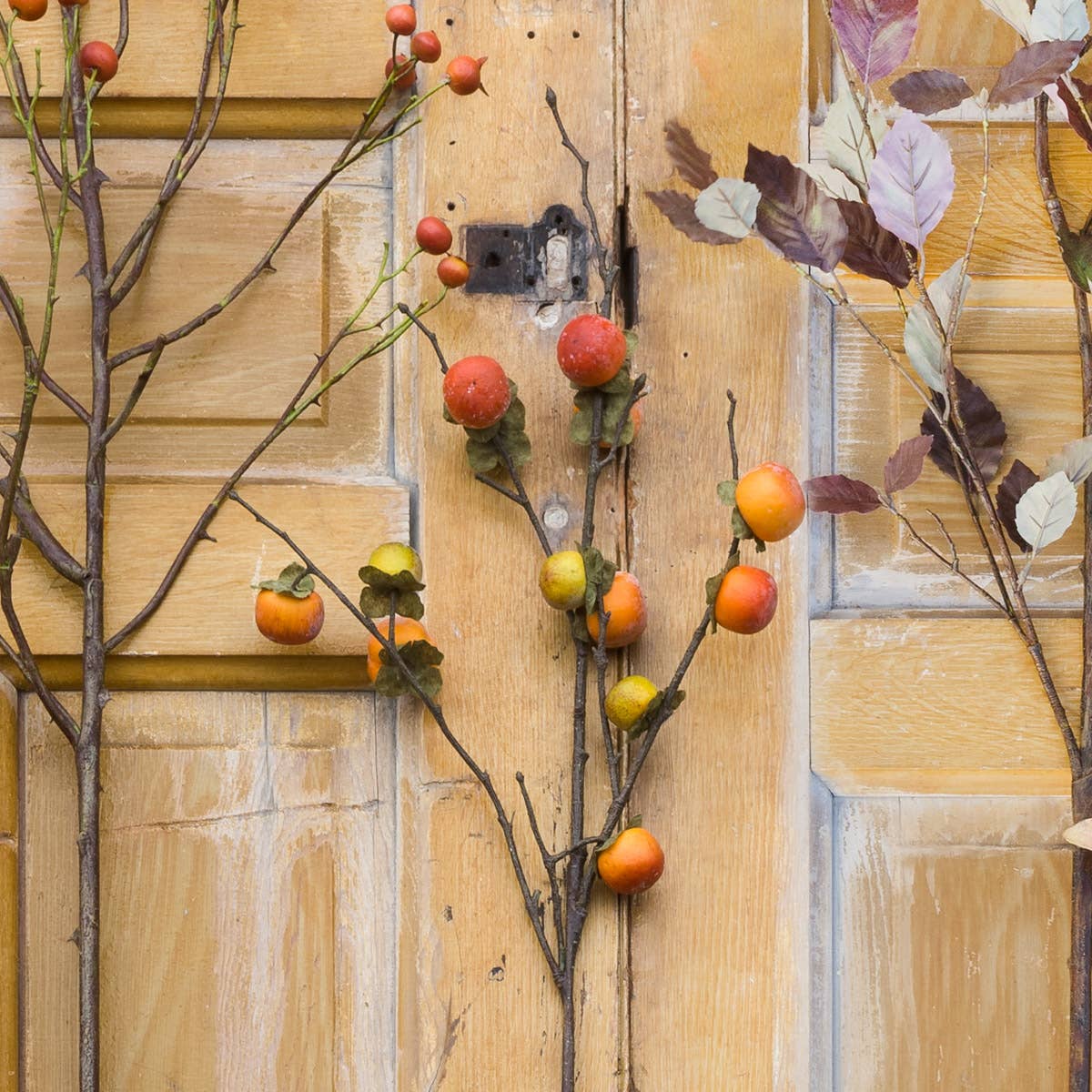Persimmon Branch