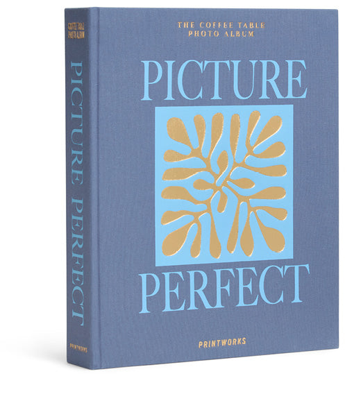 Photo Album - Picture Perfect, Blue
