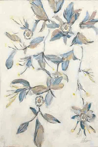 Laurus Nobilis Vine